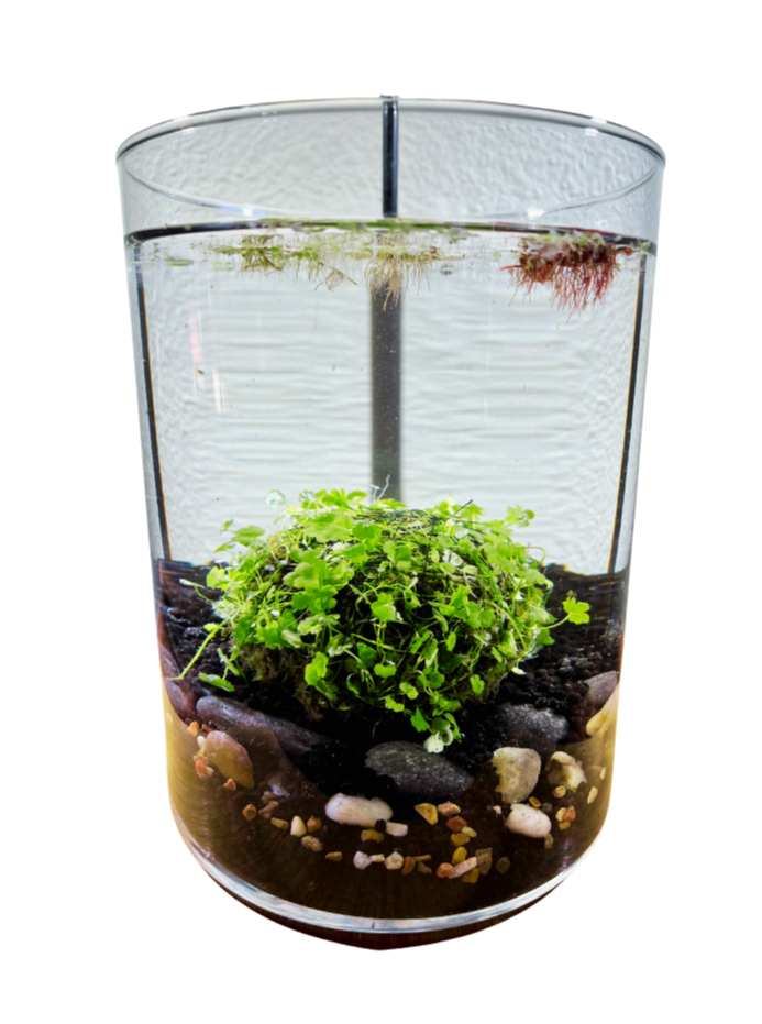 Aquarium