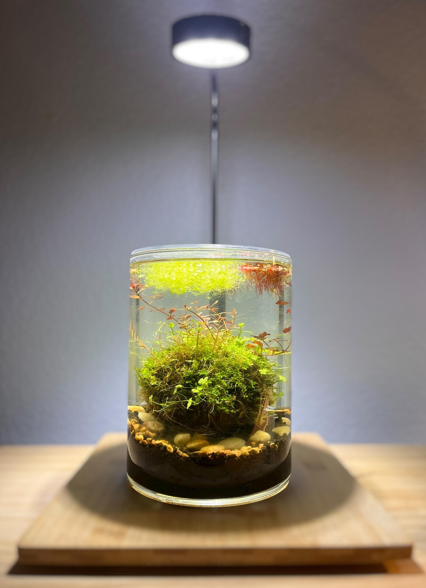 Aquarium
