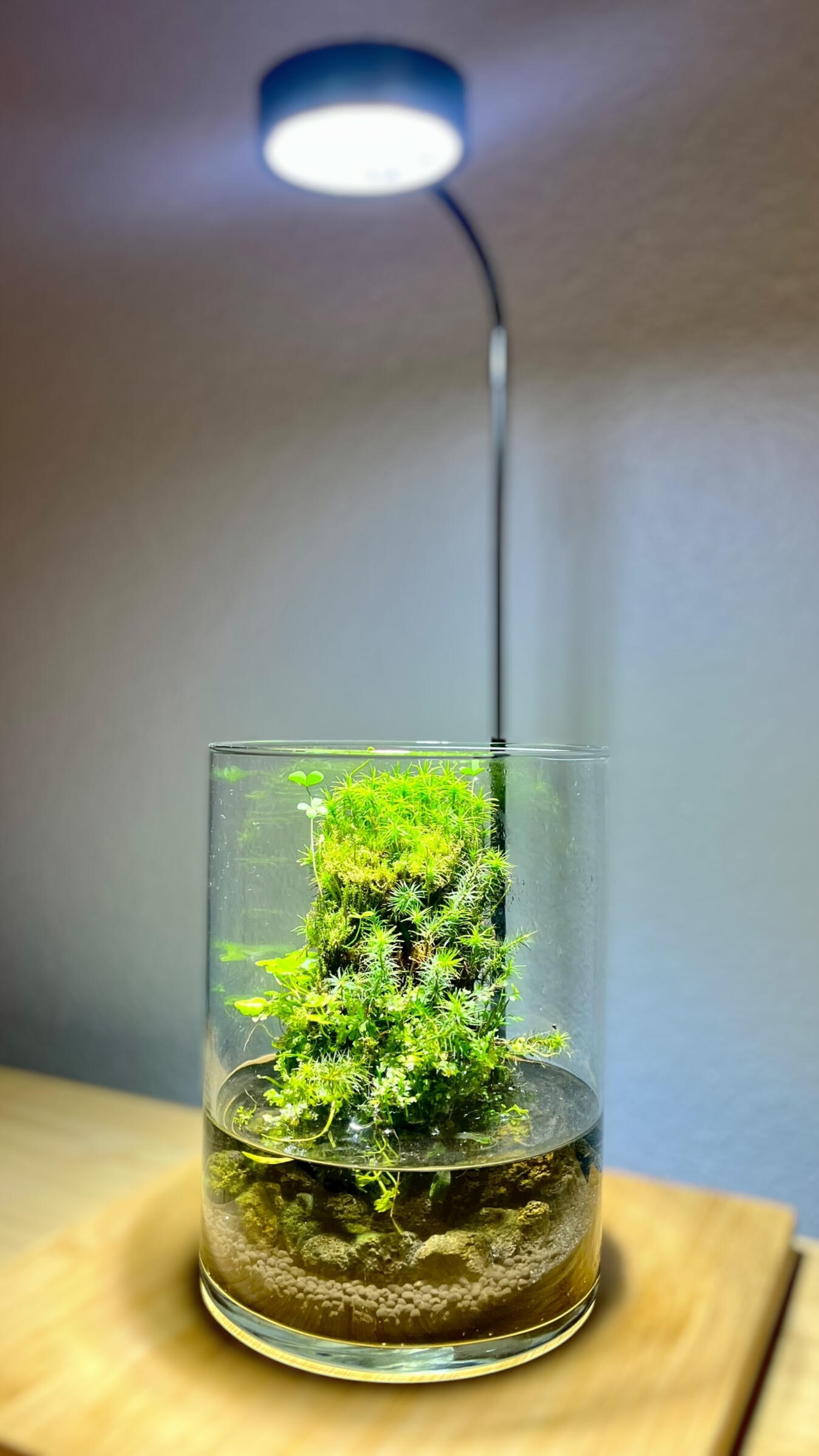 Aquarium